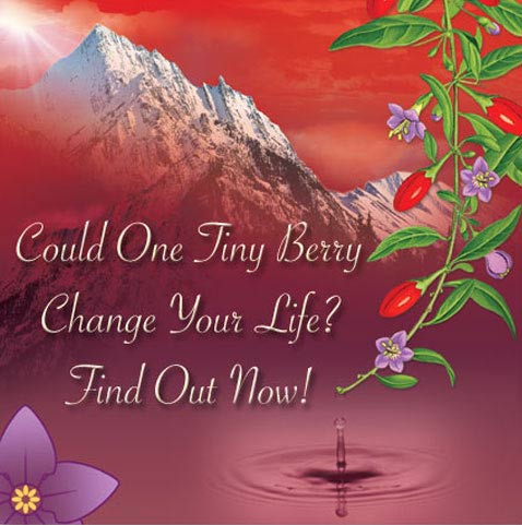 goji-berry-pic.jpg