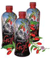 newgojibottlestrans.gif